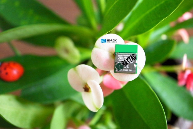 Nordic nRF52832 MDBT42V-P