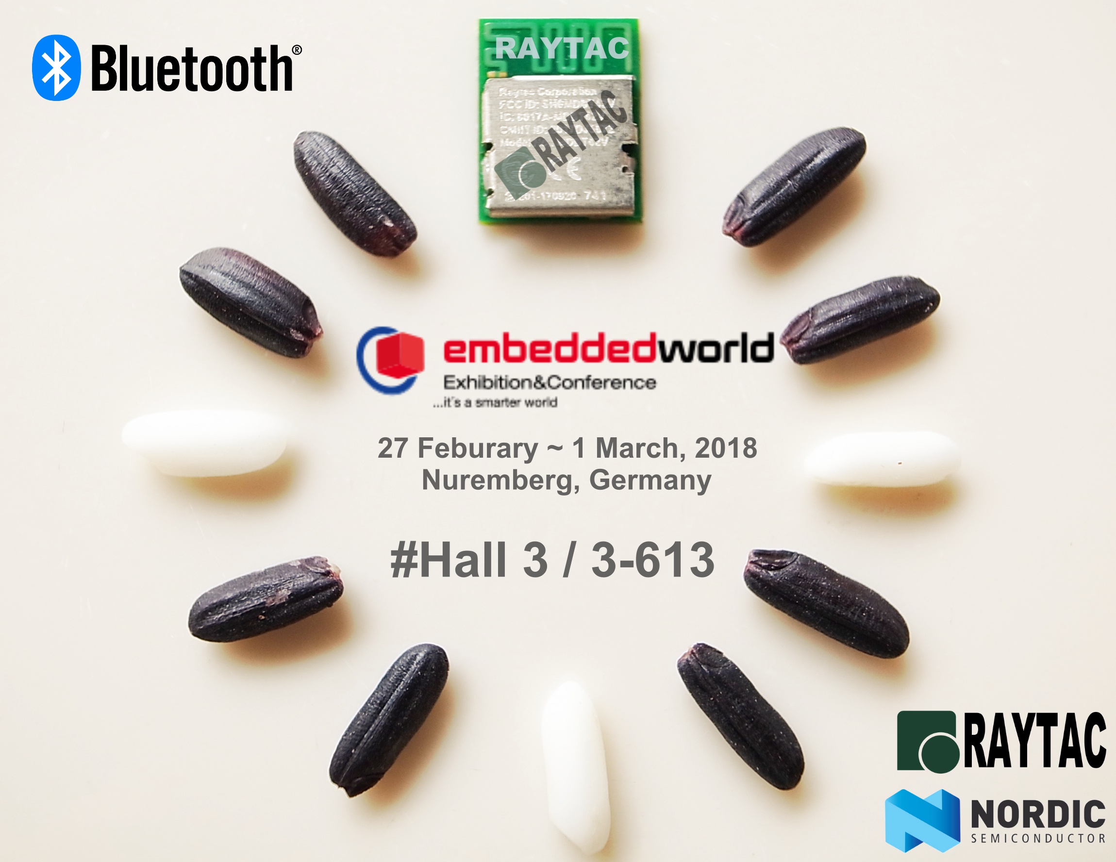 Nordic Module Embeded World