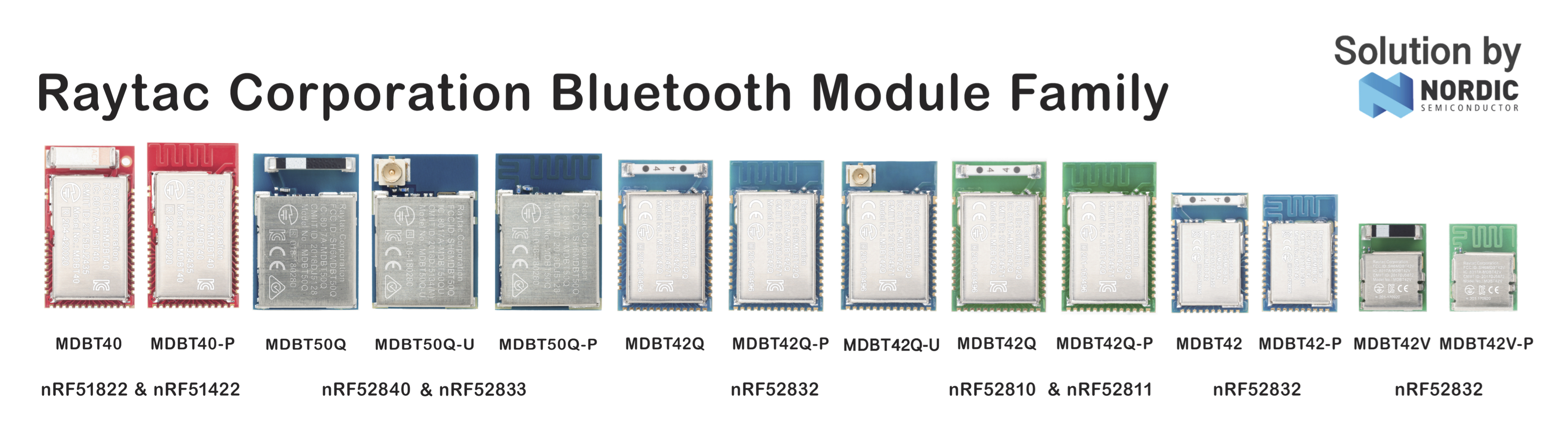 2019 Raytac Module Family